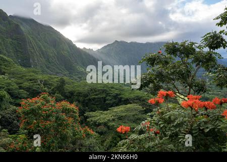 Der letzte Sonnenstrahl des Tages auf Ohau Hawaii, mit Blick auf ein wunderschönes grünes Tal und die Berge vor dem botanischen Garten Hoß omaluhia Stockfoto