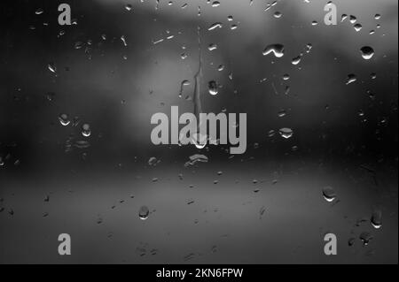 Regentropfen auf dem Fenster. Nahaufnahme von Regentropfen. Stockfoto