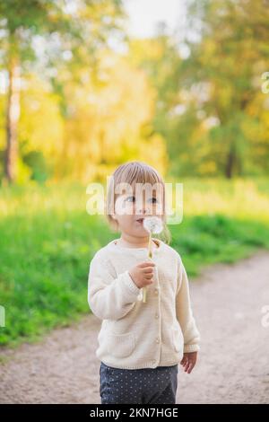 Ein hübsches Baby, das bei Sonnenuntergang im Park auf einen Löwenzahn bläst Stockfoto