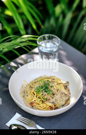 Spaghetti Carbonara und Kokosnuss unter Palmen Stockfoto