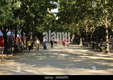 Einheimische und Touristen in einem Flur im Tuileriegarten, die während einer Hitzewelle den Schatten des Tresses genießen (Paris, Frankreich) Stockfoto