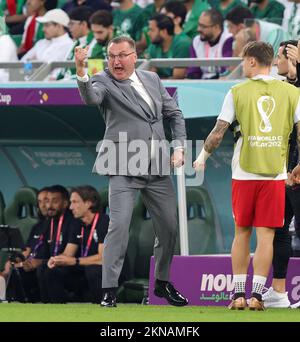 Cheftrainer Czeslaw Michniewicz von Polen während der FIFA-Weltmeisterschaft 2022, Fußballspiel der Gruppe C zwischen Polen und Saudi-Arabien am 26. November 2022 im Education City Stadium in Doha, Katar - Foto: Sebastian El-sakqa/DPPI/LiveMedia Stockfoto