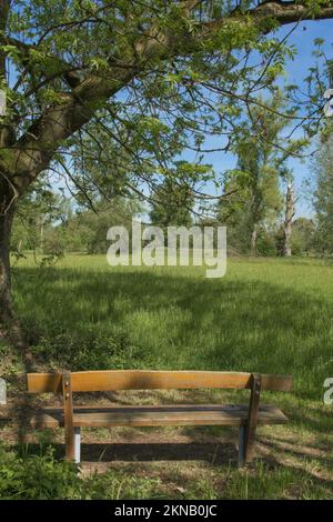 Ruhestätte im Naturschutzgebiet Urdenbacher Kaempe, altes Rheinflutgebiet, Düsseldorf-Urdenbach, Deutschland Stockfoto