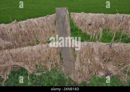 Nach der Überschwemmung am Rhein im Naturschutzgebiet Kaempe, altes Rheinflutgebiet, Düsseldorf-Urdenbach, Deutschland Stockfoto