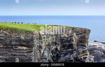 Wilde Klippen am Mizen Head in der Grafschaft Cork, Republik Irland Stockfoto