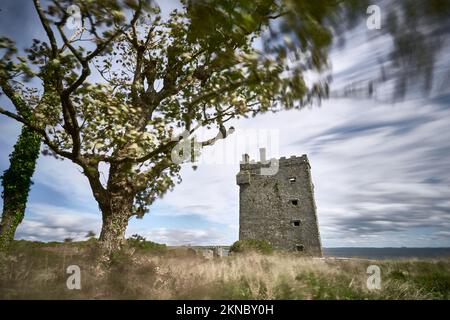 Ruine eines Turmhauses an einem stürmischen Tag in der Republik Irland Stockfoto