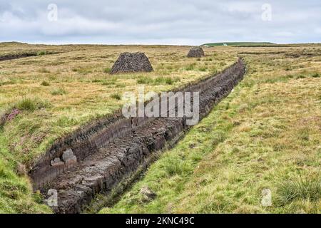 Torf wird in Irland immer noch in großem Umfang gekürzt. Torf ist einer der wichtigsten Brennstoffe in ganz Irland Stockfoto