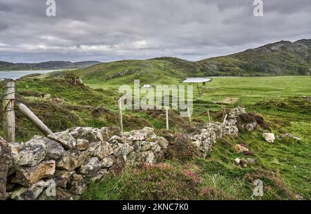 Grüne Weiden, die von Hecken und Steinmauern in der Republik Irland abgetrennt sind Stockfoto