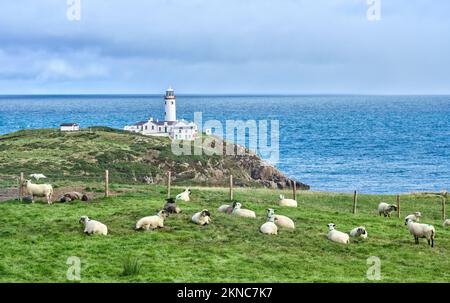 Fanad Head Lighthouse mit seinen rauen Klippen im nördlichen Teil der Republik Irland Stockfoto