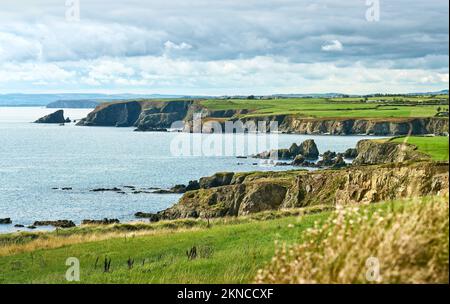 Küste mit Klippen an der Südküste Irlands in der Nähe von Annestown, County Waterford, Republik Irland Stockfoto