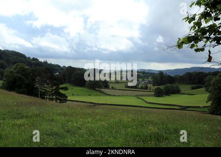 Blicken Sie über Felder in der Nähe von Sawrey in Richtung St. Peter's Kirche in Church Sawrey, Lake District, Cumbria, England, Großbritannien Stockfoto