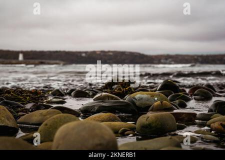 Blick auf den Maugers Beach Lighthouse vom Strand auf McNabs Island halifax Nova scotia canada bei Ebbe Stockfoto