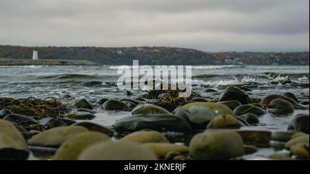 Blick auf den Maugers Beach Lighthouse vom Strand auf McNabs Island halifax Nova scotia canada bei Ebbe Stockfoto