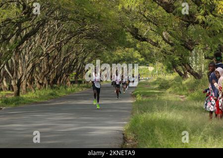 Nakuru, Kenia. 27.. November 2022. Sportler treten beim Stanbic Nakuru City Marathon in Nakuru gegeneinander an. Dies war der zweite jährliche Marathon, der von der Stanbic Bank und der Nakuru County-Regierung gesponsert wurde. Er umfasste 21km, 15km und 5km Rennen. Kredit: SOPA Images Limited/Alamy Live News Stockfoto