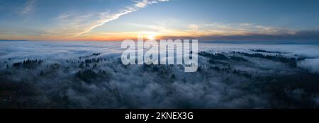 In der Abenddämmerung rollt dichter Nebel über einen Wald aus Zedern und Tannen, der die vielen Hügel rund um Portland, Oregon, bedeckt. Stockfoto