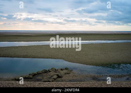 Blick auf den Sand bei Niedrigwasser im Pagham Habour, West Sussex, Großbritannien Stockfoto