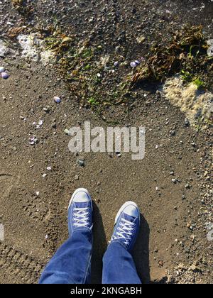 Der Blickwinkel der Person, die auf ihre Schuhe schaut, während sie an einem Sandstrand steht Stockfoto