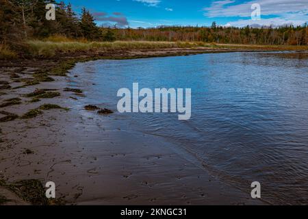 Der Strand entlang der Wreck Cove auf McNabs Island halifax Nova scotia canada Stockfoto