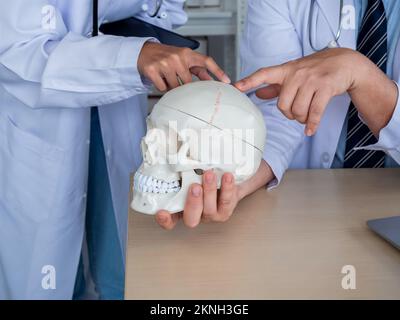 Zwei Ärzte in weißen Uniformen unterhalten sich und arbeiten im medizinischen Büro zusammen. Menschlicher Schädel Modell auf Schreibtisch in professionellen männlichen Arzt Hand, während bietet k Stockfoto