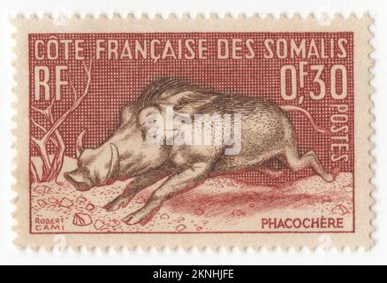 FRANZÖSISCHE SOMALISCHE KÜSTE DSCHIBUTI - 1958: Eine rot-braune Briefmarke von 30 centimeі und Sepia mit Wart Hog. Phacochoerus ist eine Gattung der Familie Suidae, gemeinhin als Warzenschweine bekannt. Es handelt sich um Schweine, die in offenen und halboffenen Lebensräumen, selbst in ziemlich trockenen Regionen, in Afrika südlich der Sahara leben. Die beiden Arten wurden früher unter dem wissenschaftlichen Namen Phacochoerus aethiopicus als konspezifisch angesehen, heute ist dies jedoch auf das Warzenschwein in der Wüste beschränkt, während die bekannteste und am weitesten verbreitete Art, das gemeine Warzenschwein (oder einfach Warzenschwein), Phacochoerus africanus ist Stockfoto