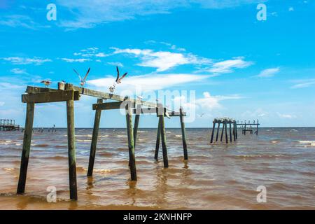 Frei wie ein Seevogel - Möwen und Pelikane sitzen darauf und fliegen über alte kaputte Piers hinaus im Meer unter einem sehr blauen Himmel Stockfoto