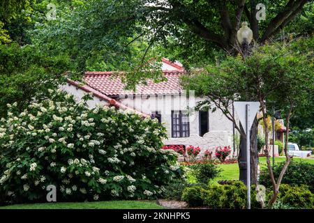 Blick durch blühende Büsche und Bäume im südwestlichen lehmhaus mit Ziegeldach in einem wunderschönen Frühlingsviertel mit Lampenmasten und Stree Stockfoto