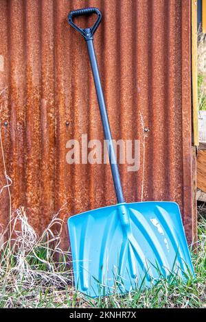 Die glänzende blaue Metallschaufel lehnt sich gegen einen körnigen rostigen Korregationsschuppen mit grünen und trockenen Gräsern, die unten wachsen. Stockfoto