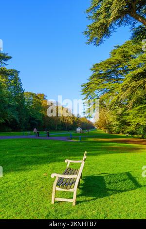 Cirencester, Großbritannien - 17. Oktober 2022: Blick auf den Cirencester Park mit Besuchern in Cirencester, Region Cotswolds, England, UK Stockfoto