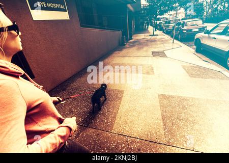 Hund, der blinde Frau beim Gehen auf dem Bürgersteig vor der Augenklinik unterstützt. Blindenhunde mit Sehbehinderung Stockfoto
