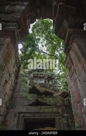 Die zerstörten inneren Tempel-Komplex, Ta Prohm, Angkor, Siem Reap, Kambodscha Stockfoto