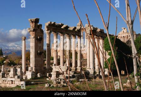 Baalbek, Libanon. 26.. November 2022. Ein Foto von der archäologischen Stätte von Baalbek, Libanon, 26. November 2022. Die Ruinen von Baalbek sind eines der schönsten Beispiele der kaiserlichen römischen Architektur von ihrer besten Seite. (Foto: Elisa Gestri/Sipa USA) Kredit: SIPA USA/Alamy Live News Stockfoto