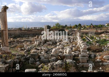 Baalbek, Libanon. 26.. November 2022. Ein Foto von der archäologischen Stätte von Baalbek, Libanon, 26. November 2022. Die Ruinen von Baalbek sind eines der schönsten Beispiele der kaiserlichen römischen Architektur von ihrer besten Seite. (Foto: Elisa Gestri/Sipa USA) Kredit: SIPA USA/Alamy Live News Stockfoto