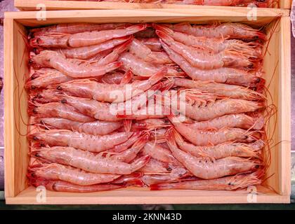 Santander, Spanien - 31. Okt. 2022: Frisch gefangene Garnelen im Mercado de la Esperanza, Santander, Kantabrien Stockfoto