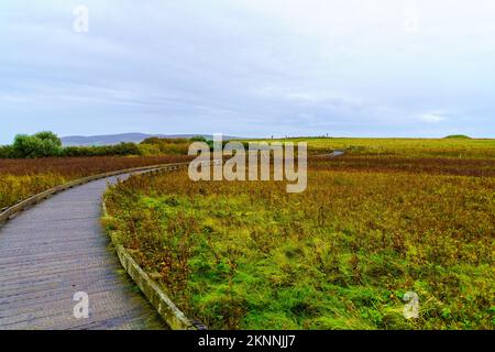 Blick auf einen Fußweg und den Ring of Brodgar Stone Circle in Mainland Orkney, Schottland, Großbritannien Stockfoto