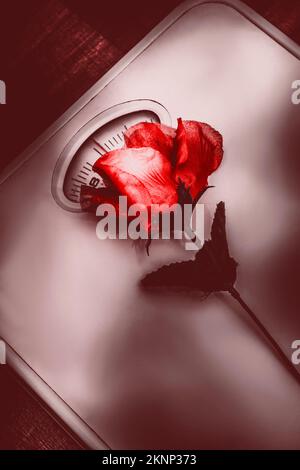 Eine rote Blume wartet und verwelkt auf einer Reihe von Skalen, die einen Verlust oder Gewinn in einem Standard schwerer Romantik messen. Von Liebe und Gewichtung Stockfoto