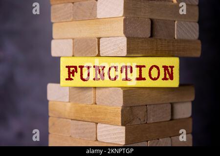 Text auf grauem Wort Funktion in kleinen Holzbuchstaben mit schwarzer Schrift auf blauem Hintergrund. Stockfoto