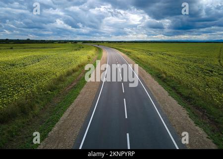 Luftaufnahme einer leeren Intercity-Straße zwischen grünen landwirtschaftlichen Feldern. Draufsicht von der Drohne der Autobahn Stockfoto