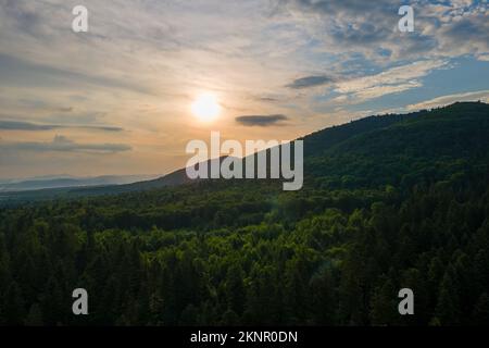 Luftaufnahme des grünen Pinienwaldes mit dunklen Fichten, die die Berghügel bei Sonnenuntergang bedecken. Nördliche Waldlandschaft von oben Stockfoto
