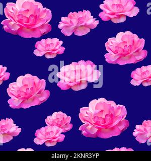 Wunderschönes, nahtloses Muster pinkfarbener Rosenblumen. Rosenmuster für Design auf blauem Hintergrund. Stockfoto