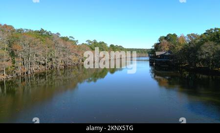 Big Cypress Bayou River im Caddo Lake State Park Stockfoto