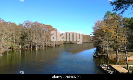 Big Cypress Bayou River im Caddo Lake State Park Stockfoto