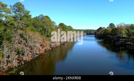 Big Cypress Bayou River im Caddo Lake State Park Stockfoto