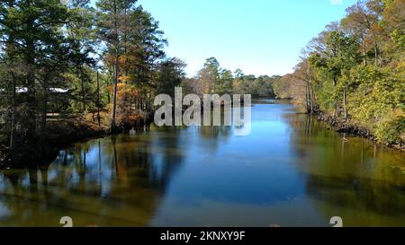 Big Cypress Bayou River im Caddo Lake State Park - CADDO LAKE, USA - 04. NOVEMBER 2022 Stockfoto