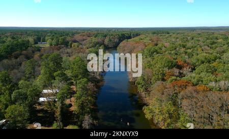 Big Cypress Bayou River im Caddo Lake State Park Stockfoto