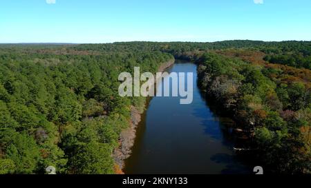 Big Cypress Bayou River im Caddo Lake State Park Stockfoto