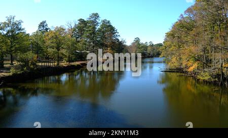Big Cypress Bayou River im Caddo Lake State Park Stockfoto
