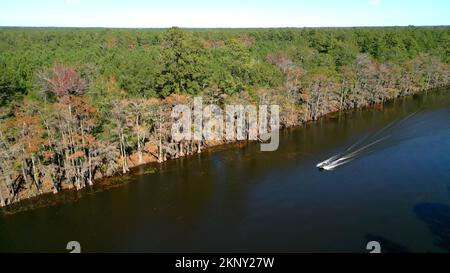 Big Cypress Bayou River im Caddo Lake State Park Stockfoto