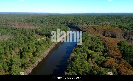 Big Cypress Bayou River im Caddo Lake State Park Stockfoto