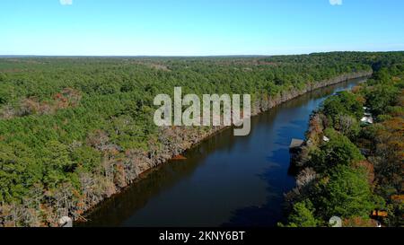 Big Cypress Bayou River im Caddo Lake State Park Stockfoto