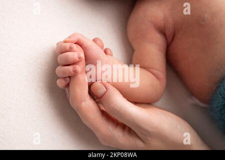 Das neugeborene Baby hat nach der Geburt einen festen Griff am Finger der Eltern. Stockfoto